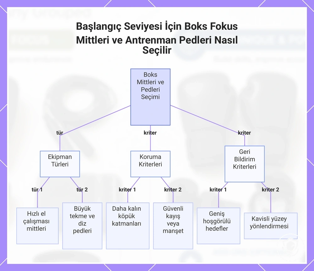 Başlangıç Seviyesi İçin Boks Fokus Mittleri ve Antrenman Pedleri Nasıl Seçilir